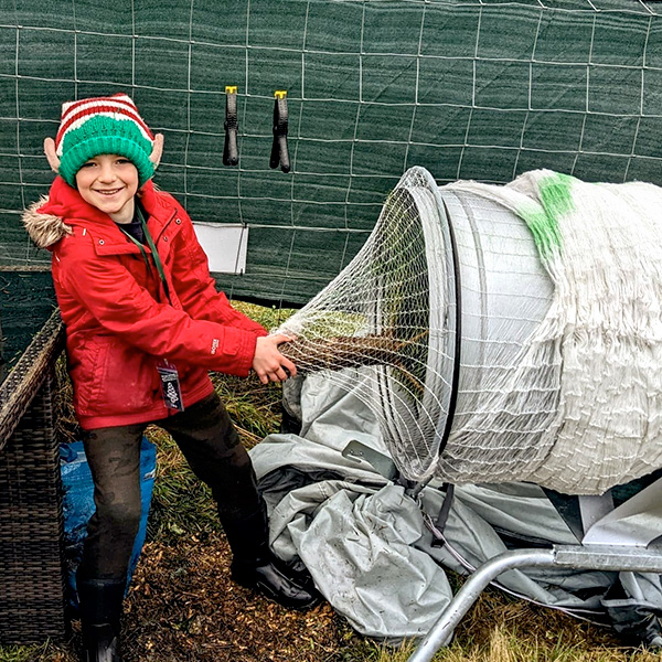 Netting the Christmas Trees